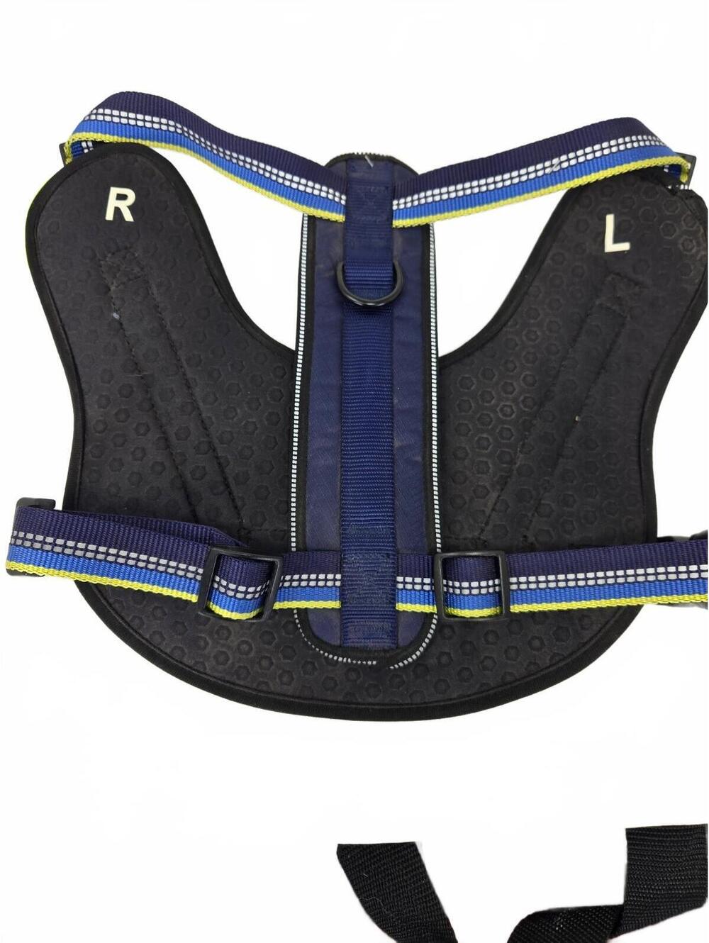 Blue reflective dog harness Ergo Paw NWT